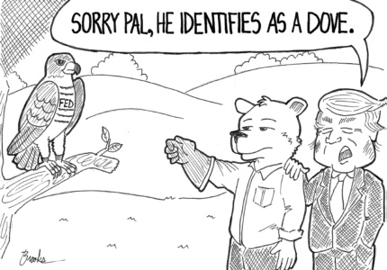 2Q2019 Financial Review and Outlook