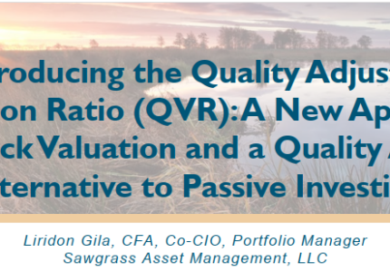 Quality Adjusted Valuation Ratio