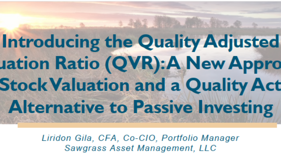 Quality Adjusted Valuation Ratio