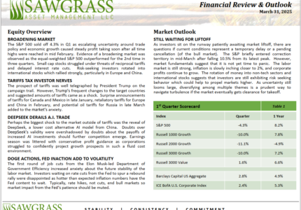 Q1 2025 Review & Outlook
