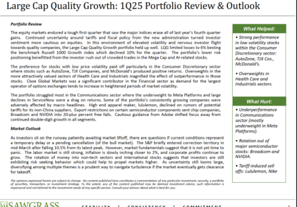 Large Cap Quality Growth – Q1 Commentary