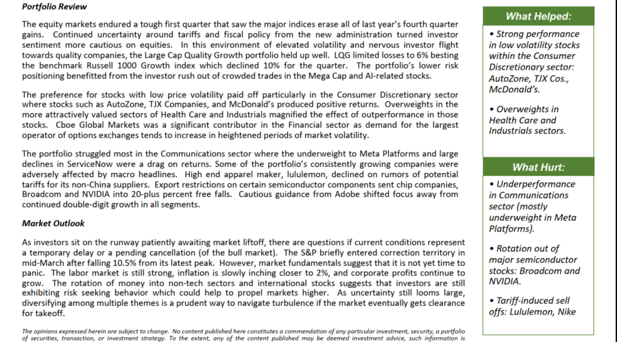 Large Cap Quality Growth – Q1 Commentary