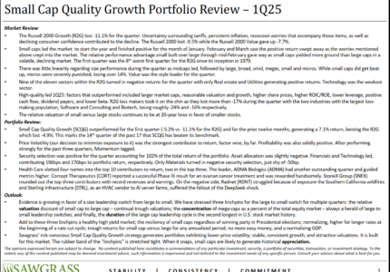 Small Cap Quality Growth – Q1 Commentary