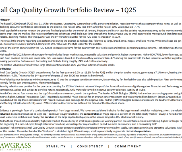 Small Cap Quality Growth – Q1 Commentary