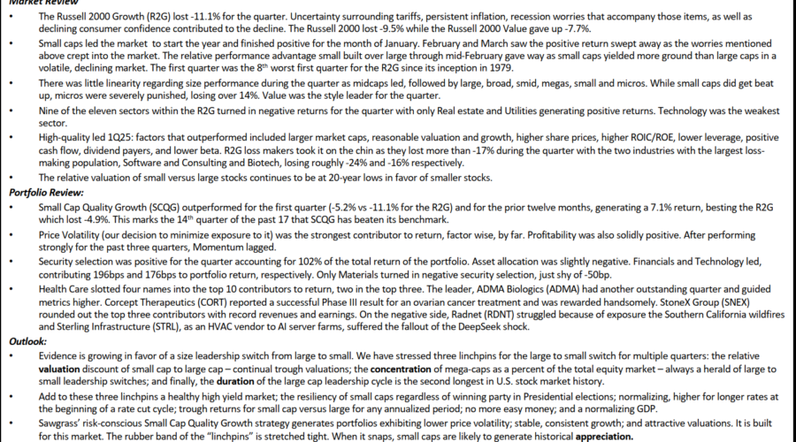 Small Cap Quality Growth – Q1 Commentary