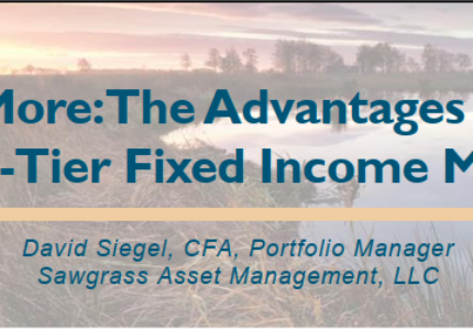 The Advantages of Small and Mid-Sized Fixed Income Managers
